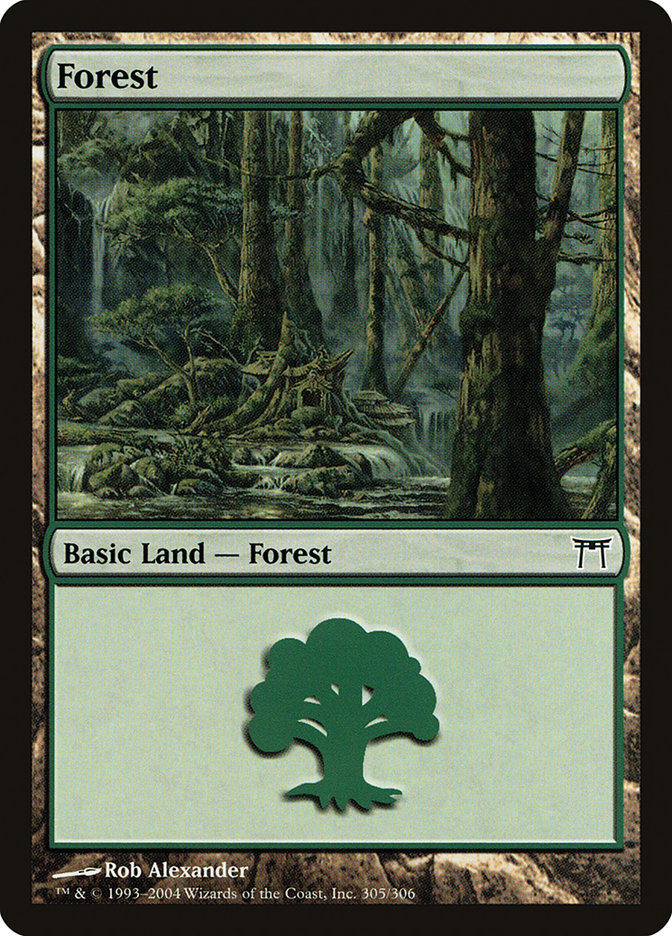 MTG: Champions of Kamigawa 305: Forest (FOIL) 