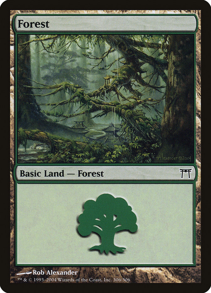 MTG: Champions of Kamigawa 306: Forest (FOIL) 