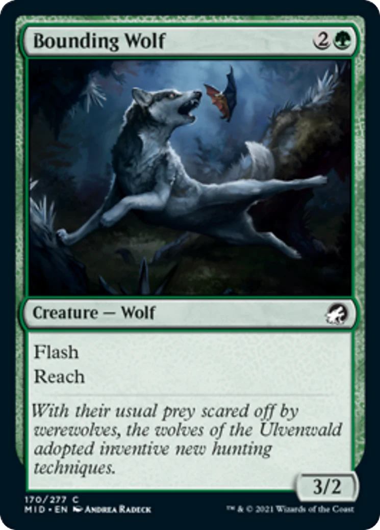 MTG: Innistrad: Midnight Hunt 170: Bounding Wolf 