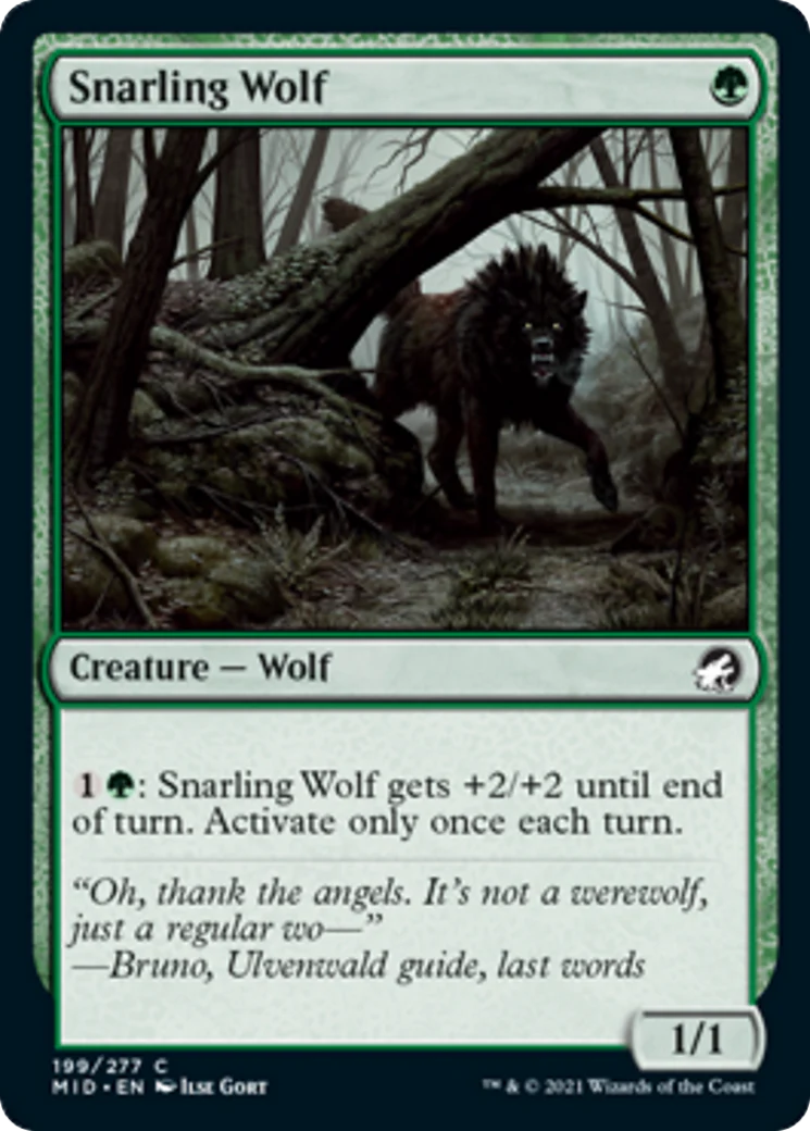 MTG: Innistrad: Midnight Hunt 199: Snarling Wolf 