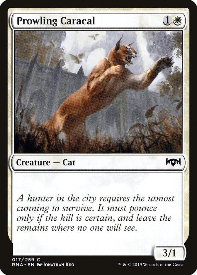 MTG: Ravnica Allegiance 017: Prowling Caracal 