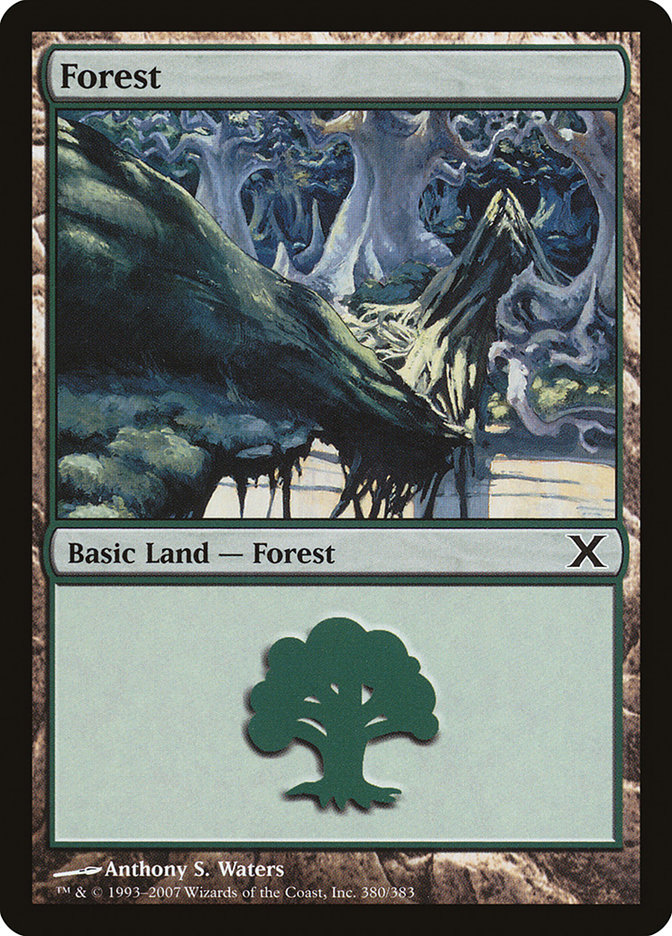 MTG: Tenth Edition 380: Forest (FOIL) 