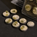 Battle Ready Bases: Arid Steppe Round Lip 30mm (x8) 