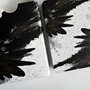 Be Like A Crow: Playing Cards - CKBLACRPC [5061039540078]