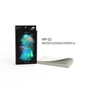 DSPIAE: Water Guiding Paper 