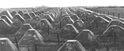 Panzer Grenadier: Siegfried Line 