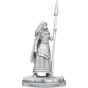 WizKids Deep Cuts: Brigante Celts 